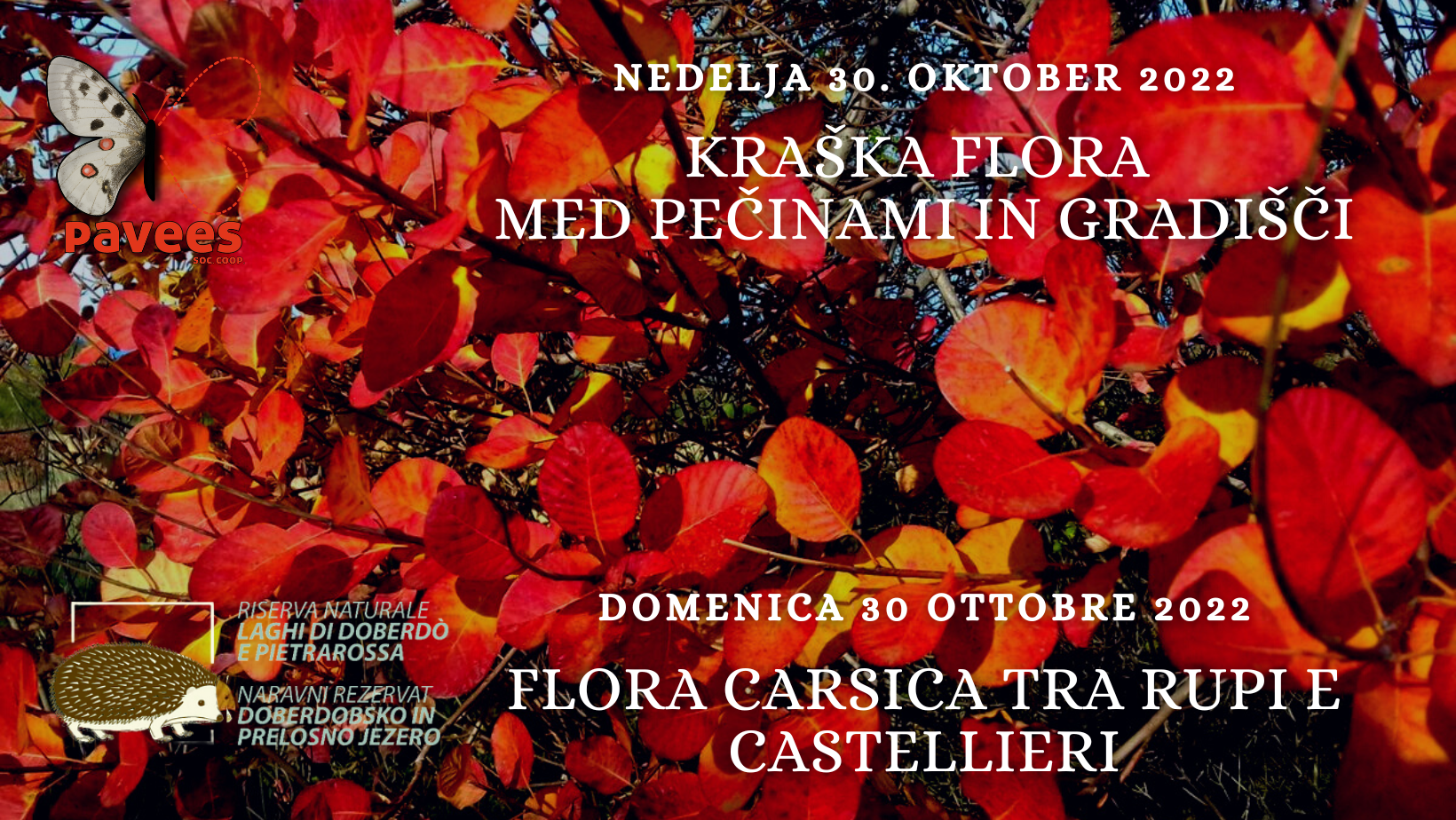 Nedelja 30. Oktober - Kraška flora med pečinami in gradišči