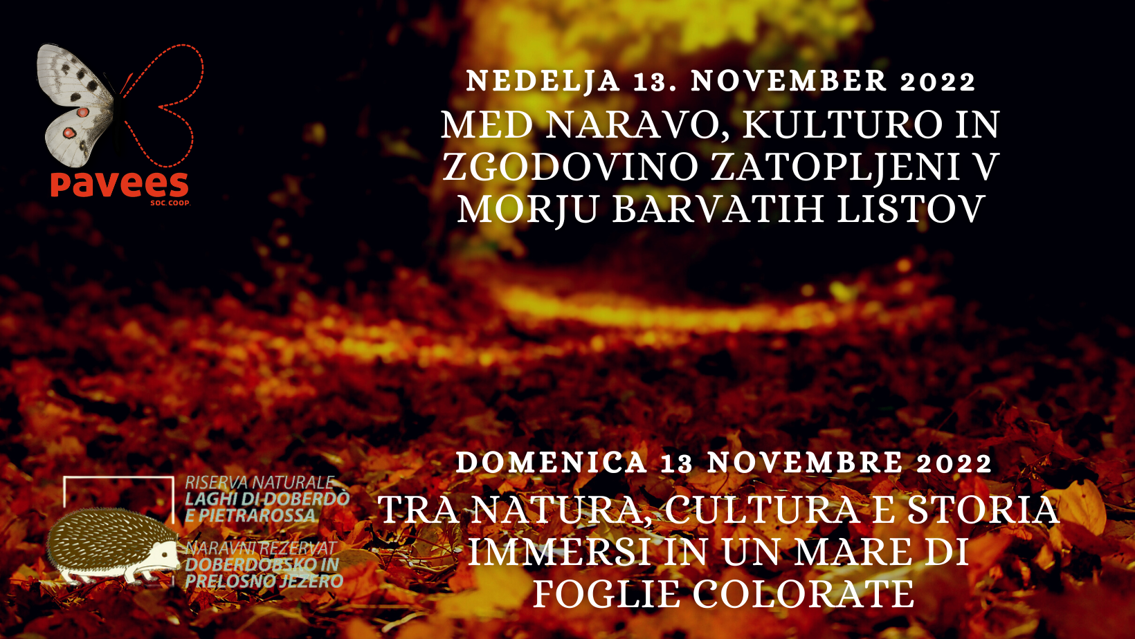 Domenica 13 novembre - Tra natura, cultura e storia immersi in un mare di foglie colorate