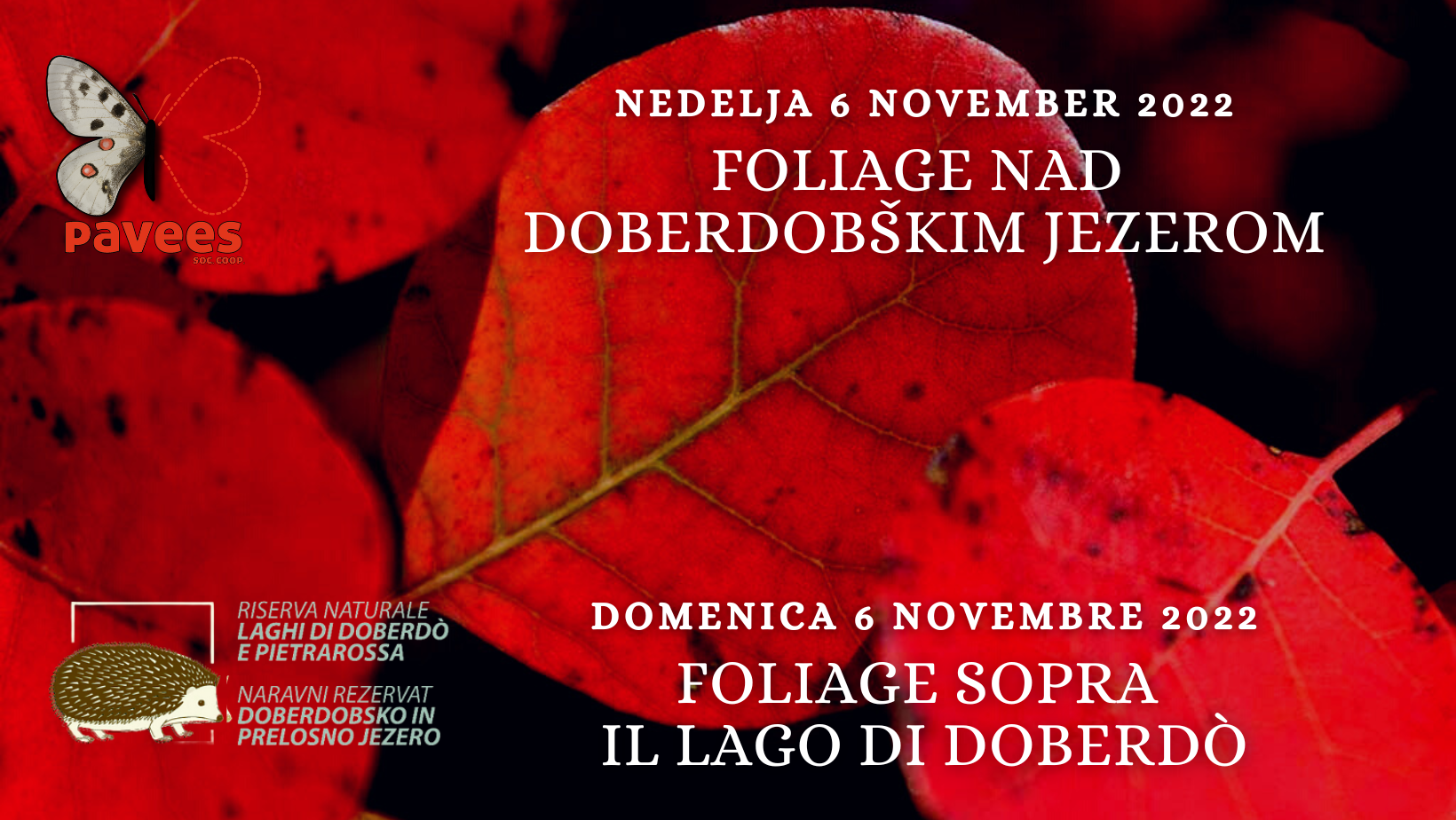 Domenica 6 novembre - Foliage sopra il Lago di Doberdò